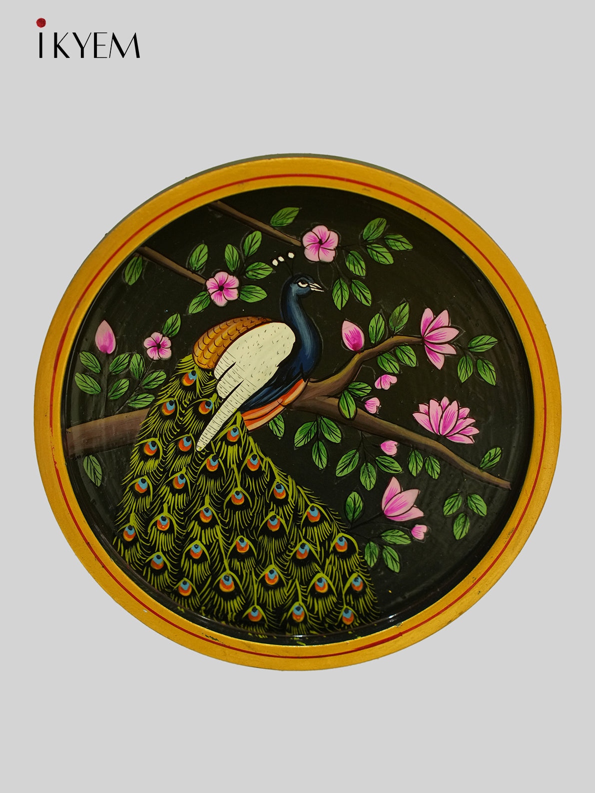 Peacock Handpainted wooden wall hanging plates