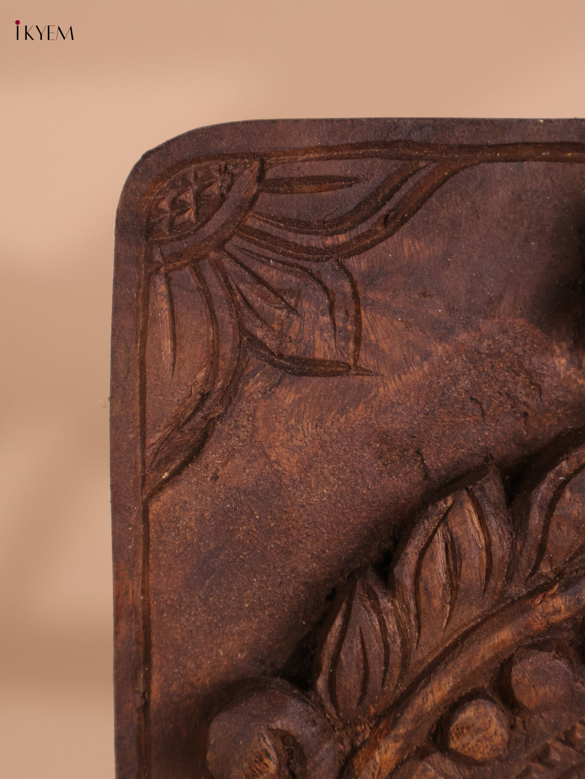 Wooden Hand Carved wall Frame (18x10)