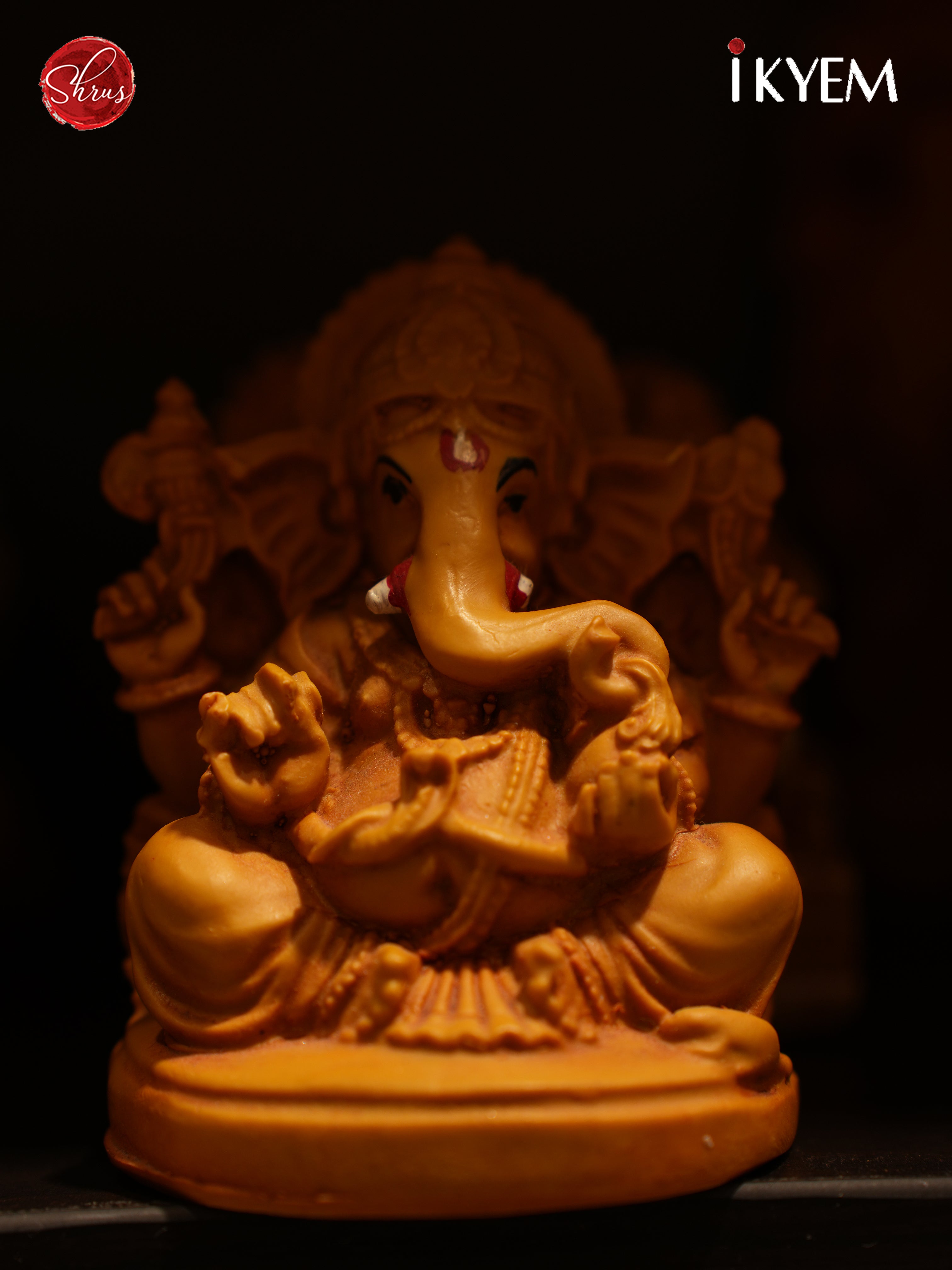 Lord Vinayakar Idol