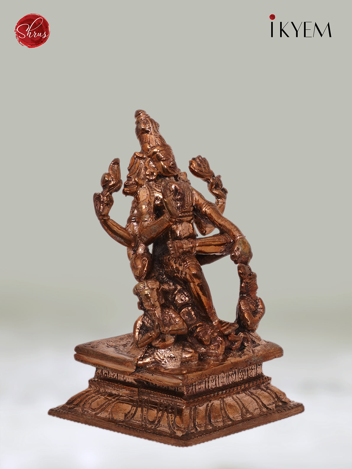 Guru Dhakshinamurthy Idol