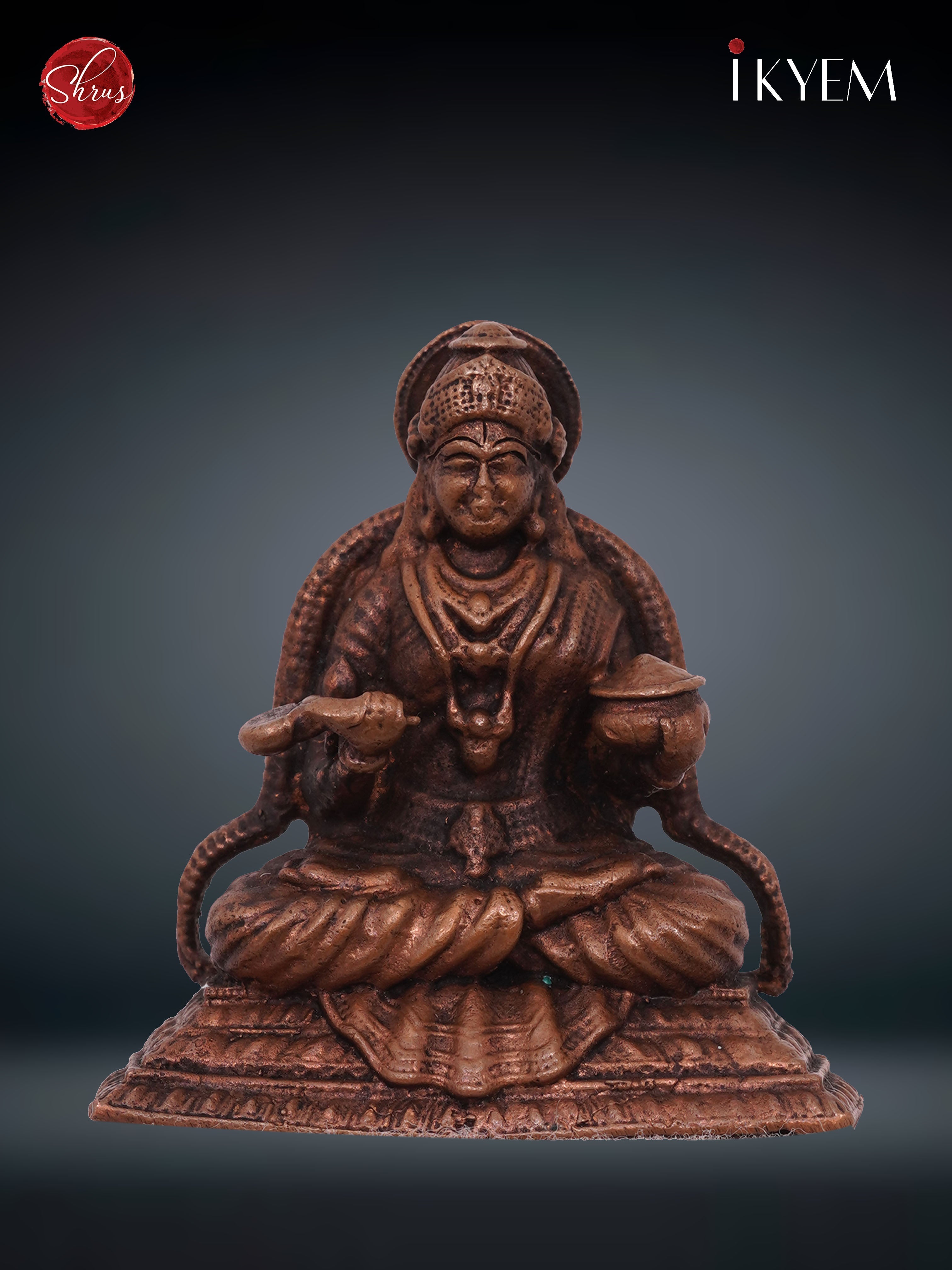 Annapoorni - Copper Idol