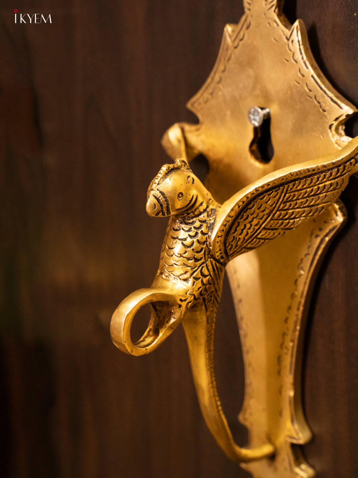 Brass Parrot Wall Bracket - 7.5 Inch- KK26169